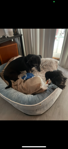 Bild zum Beitrag