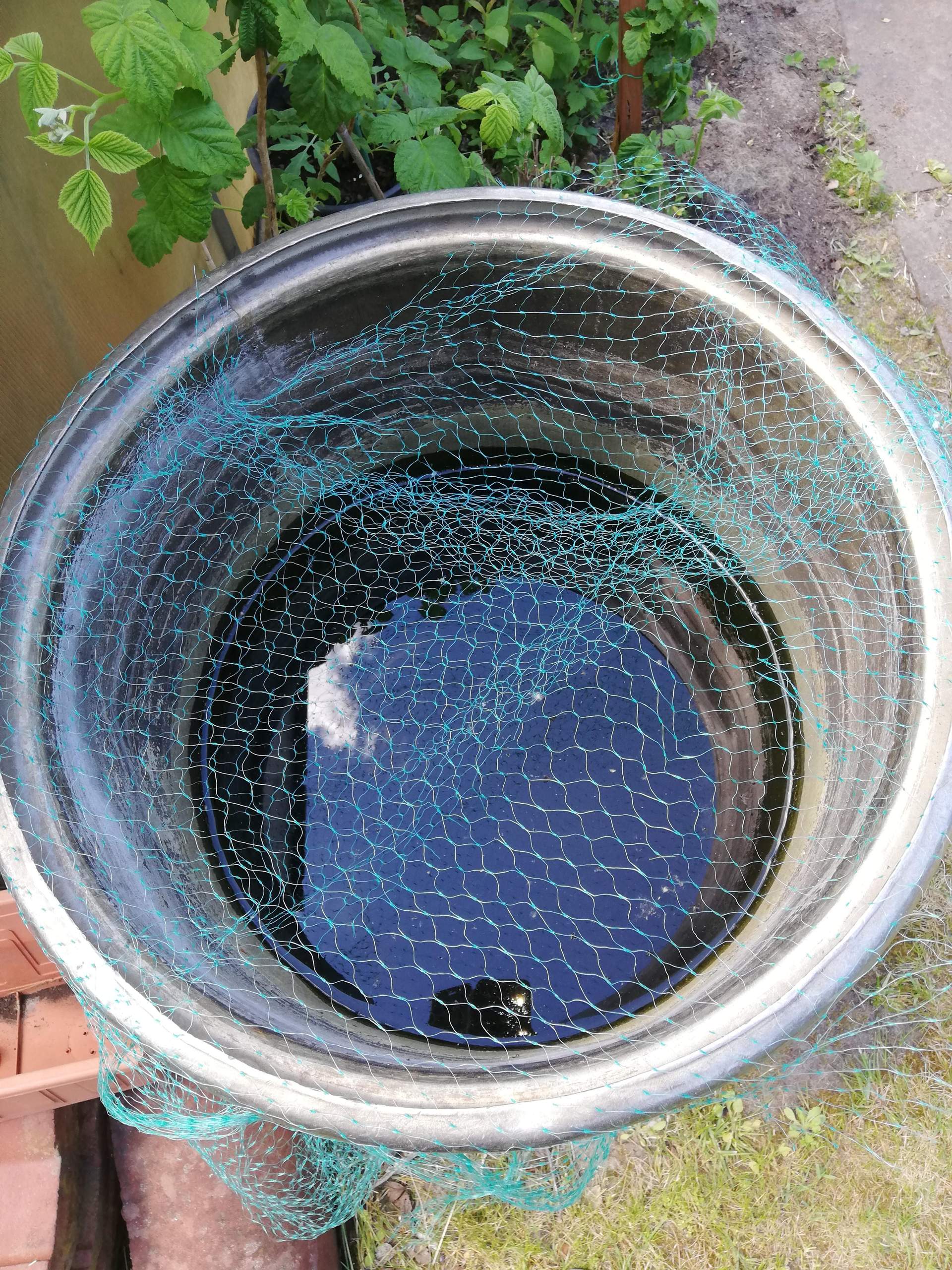Wie Wasser/Regentonne abdecken gegen Blätter? (Handwerker)