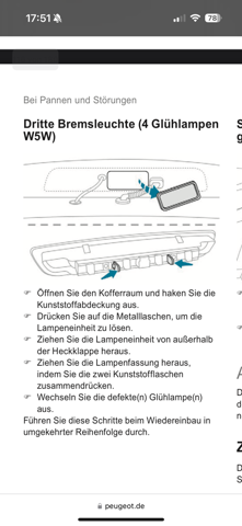 Bild zum Beitrag