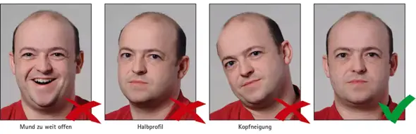 Bild zum Beitrag