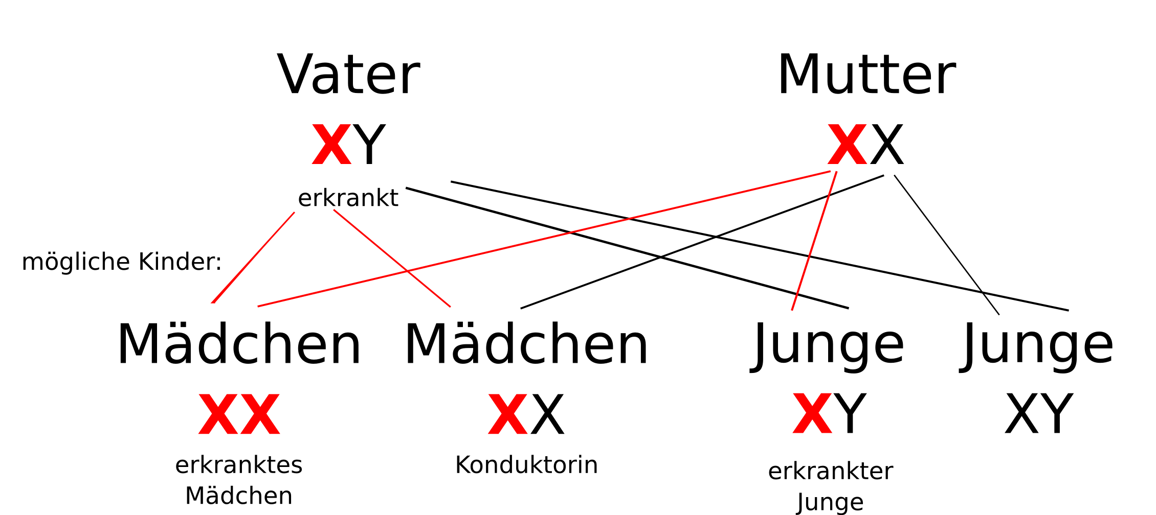 Wie wird Diabetes vererbt? (Biologie, Vererbung)