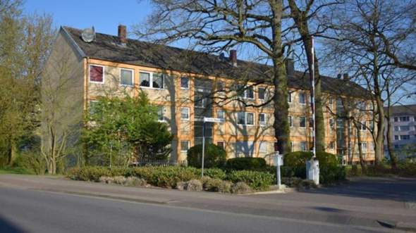 Bild zum Beitrag