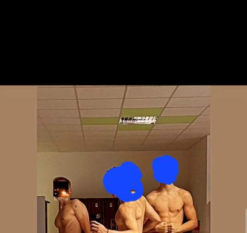 Bild zum Beitrag