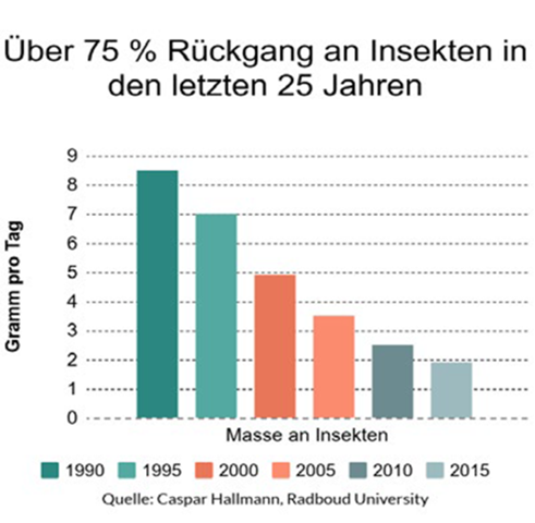 Wie Wurdet Ihr Diesen Diagramm Uber Insektensterben Knapp Auswerten Insekten Bienensterben