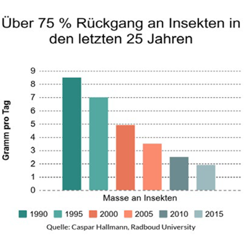 Bild zu Frage