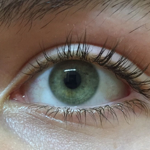 Auge - (Augen, Augenfarbe)