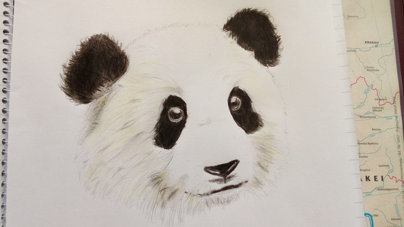Panda - (zeichnen, malen)