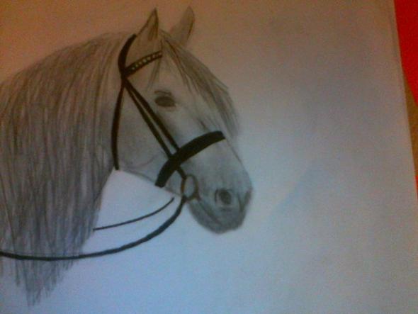 Wie Zeichnet Man Ausdrucksvolle Pferdeaugen Pferde Zeichen Ausdruck