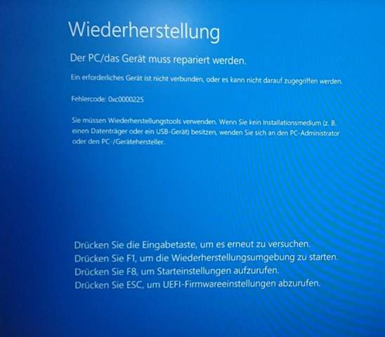 Bild zum Beitrag