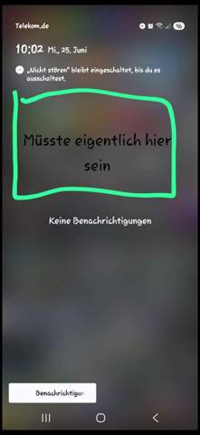 Bild zum Beitrag
