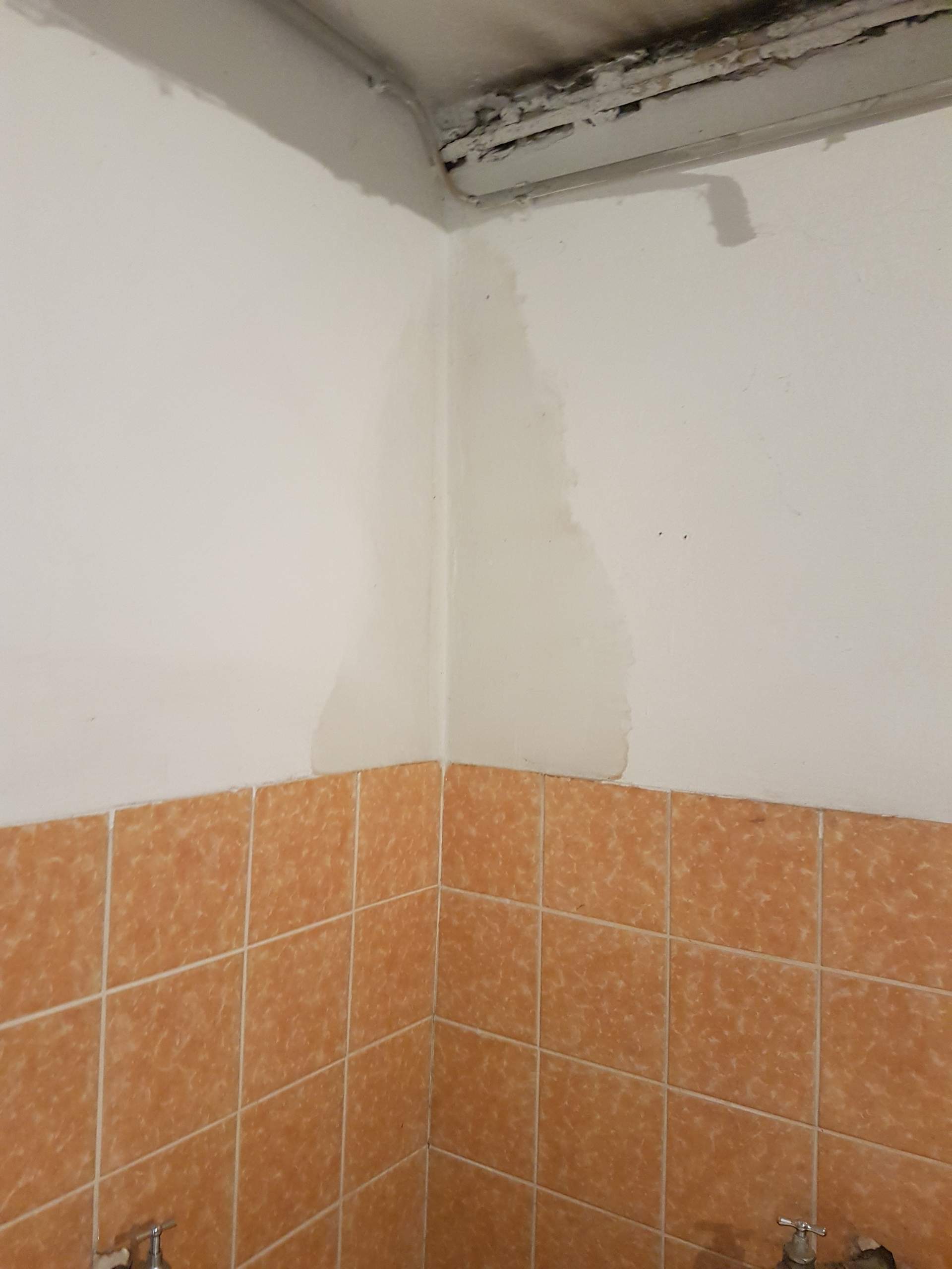 Wielange dauert es bis nasse Wände und Decken wieder trocken sind? (nass)