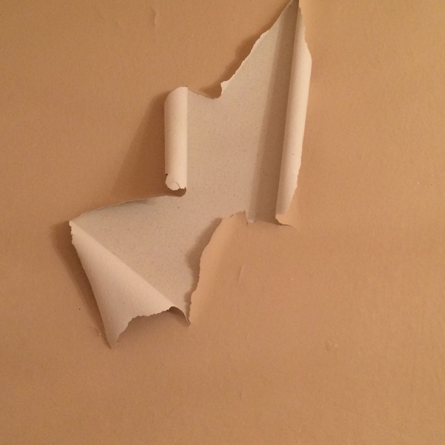 Wieso blättert die Wandfarbe ab? (Renovierung)