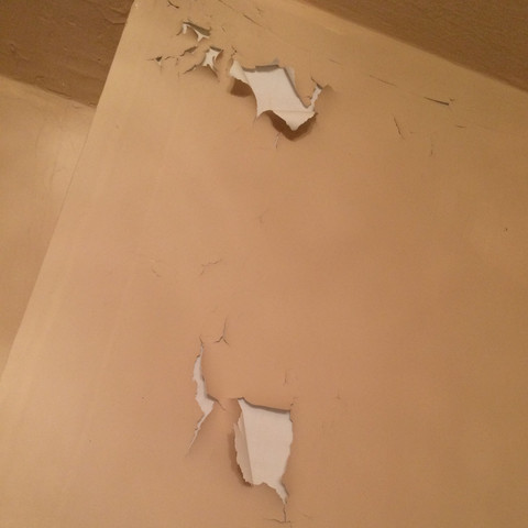 Wieso Blattert Die Wandfarbe Ab Renovierung