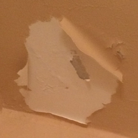 Wieso Blattert Die Wandfarbe Ab Renovierung