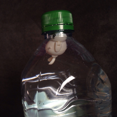 Flasche mit Wasser  - (Wasser, Spielzeug, Flasche)