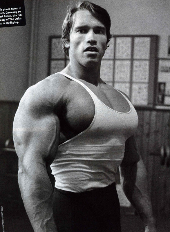 Wieso hat Arnold Schwarzenegger so ne breite Brust oder ...