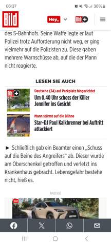 Bild zum Beitrag