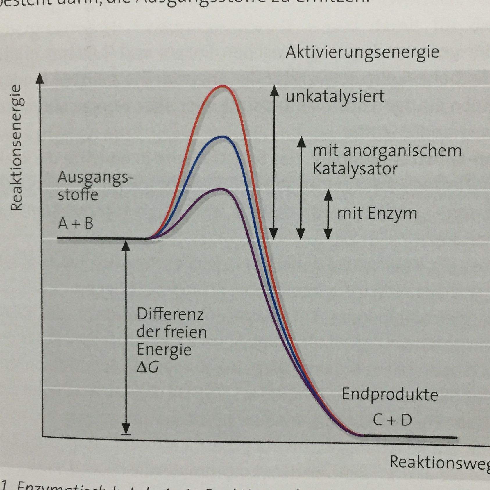 Wieso ist die Differenz der freien Energie unabhängig davon, ob die Reaktion durch normale ...