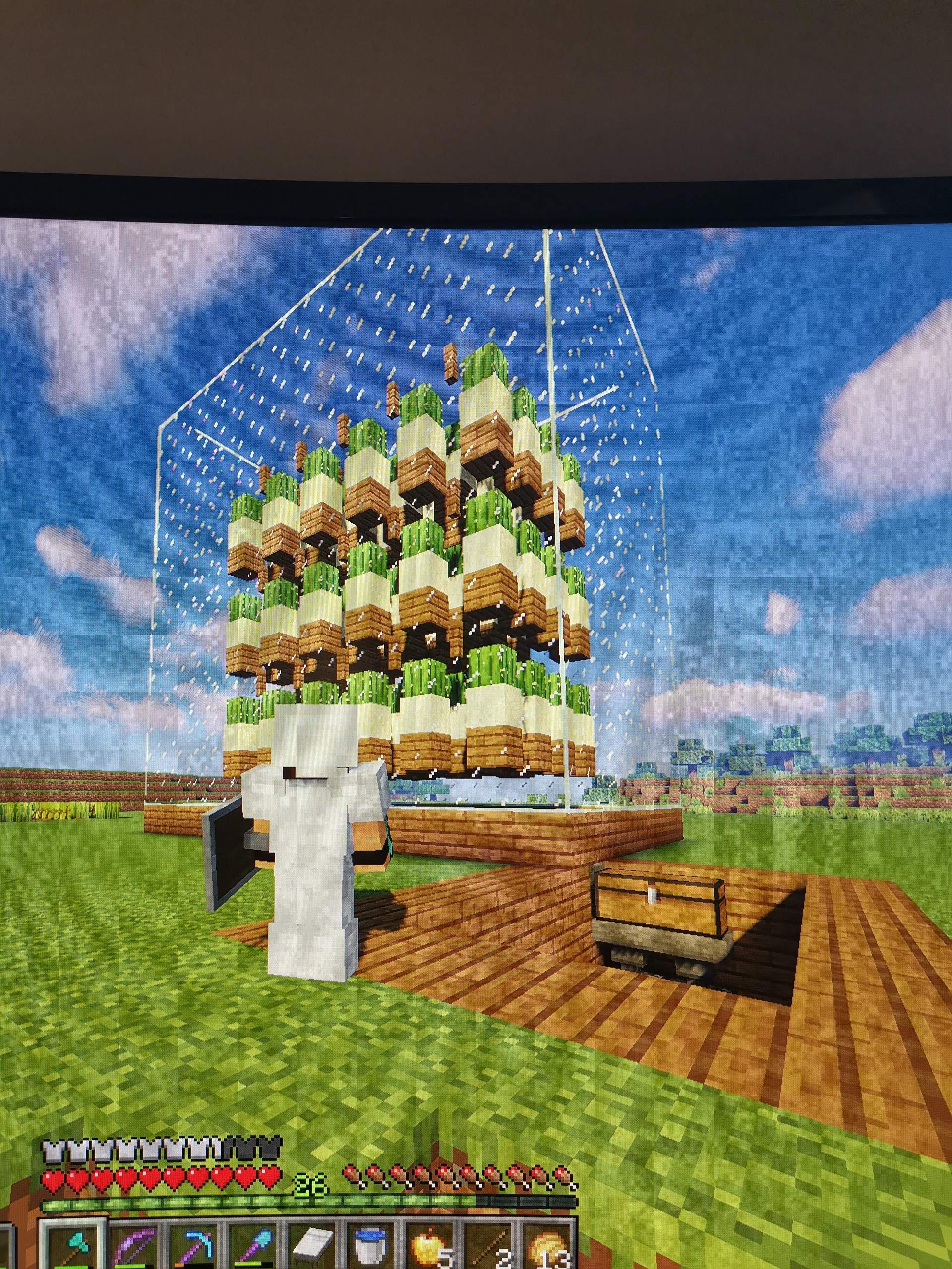 Wieso ist die Kaktus Farm so langsam? (Minecraft, Minecraft Server,  Minecraft Java Edition)