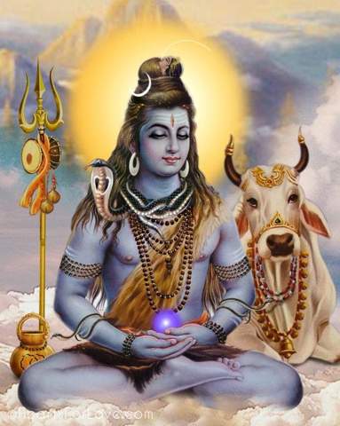Wieso ist die Kuh im Hinduismus heilig?