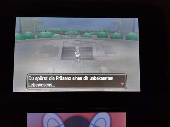 Bild zum Beitrag