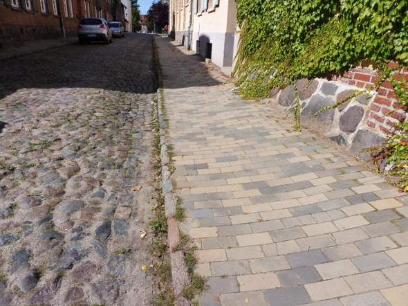 - (Tiere, Umfrage, Abstimmung)