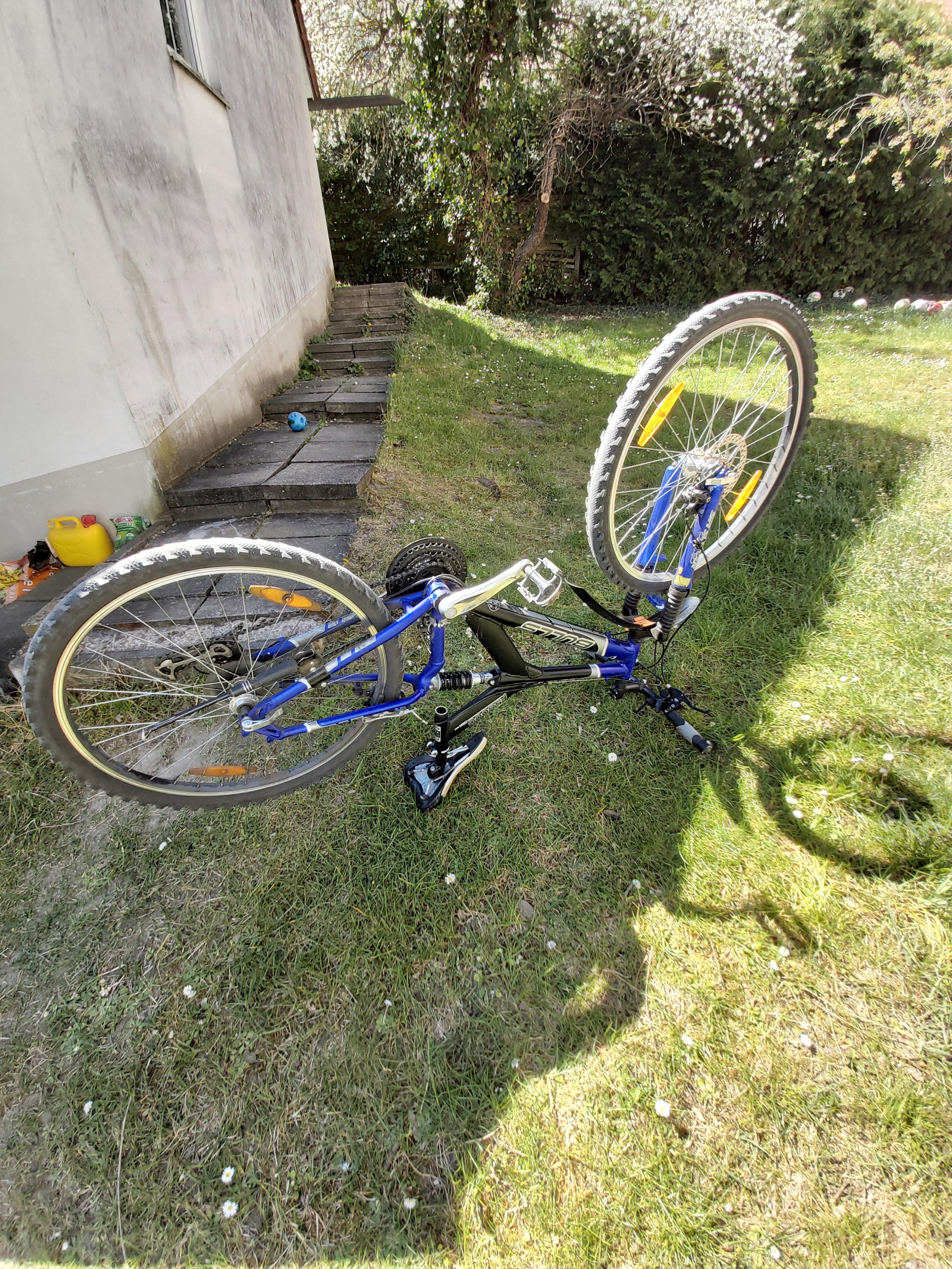 fahrrad vorderreifen quietscht beim und fahren