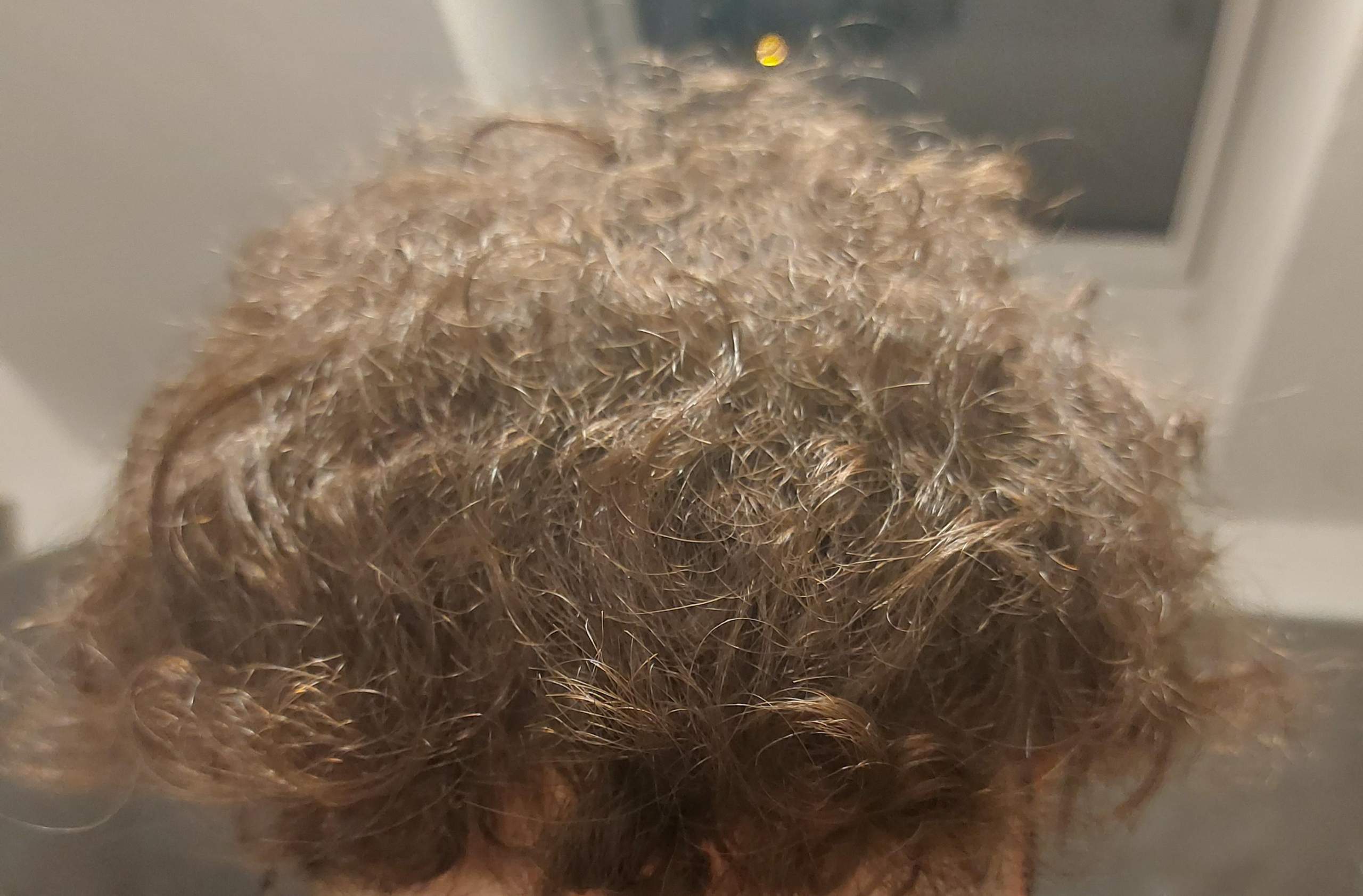 Wieso sehen meine Haare so aus? (Mädchen, Frauen, Jungs)