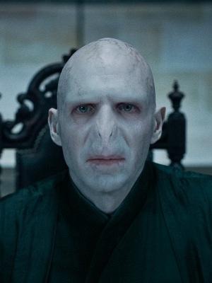 teil7 - (Gesicht, Harry Potter, Lord Voldemort)