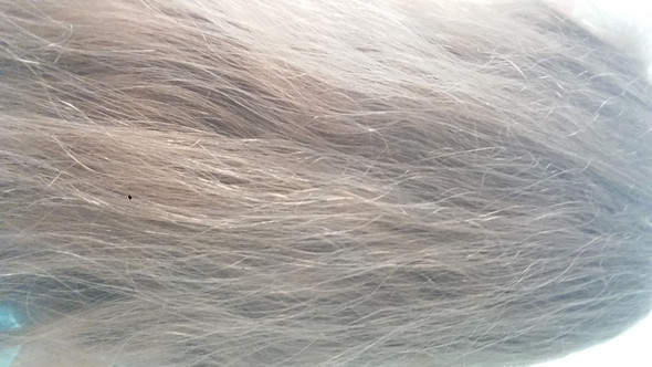 wieso sind meine haare so scheisse
