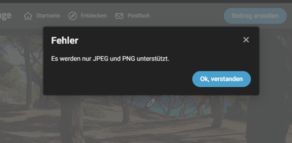 Bild zum Beitrag