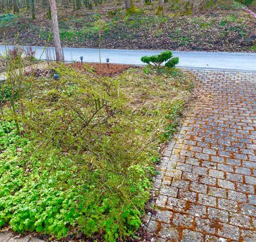 Bild zum Beitrag