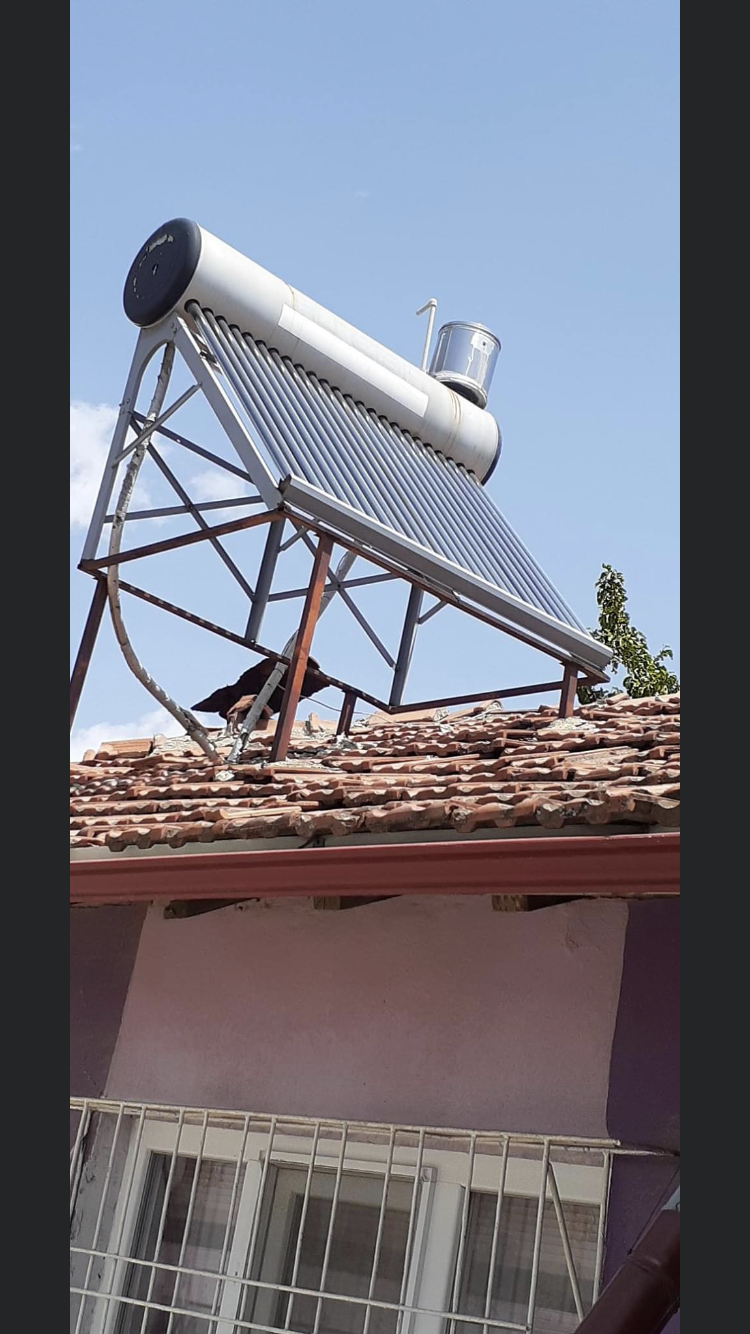 Wieviel KWh erzeugt die Solaranlage? (Strom) Wieviel KWh erzeugt die Solaranlage? (Strom)