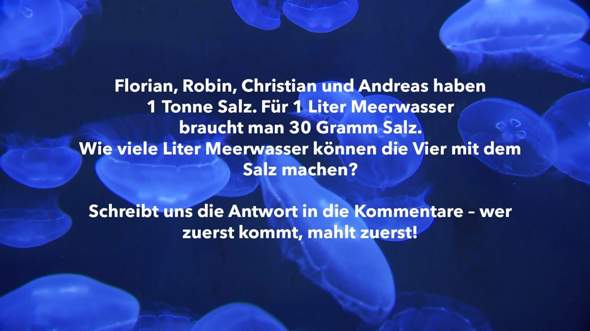 Bild zum Beitrag
