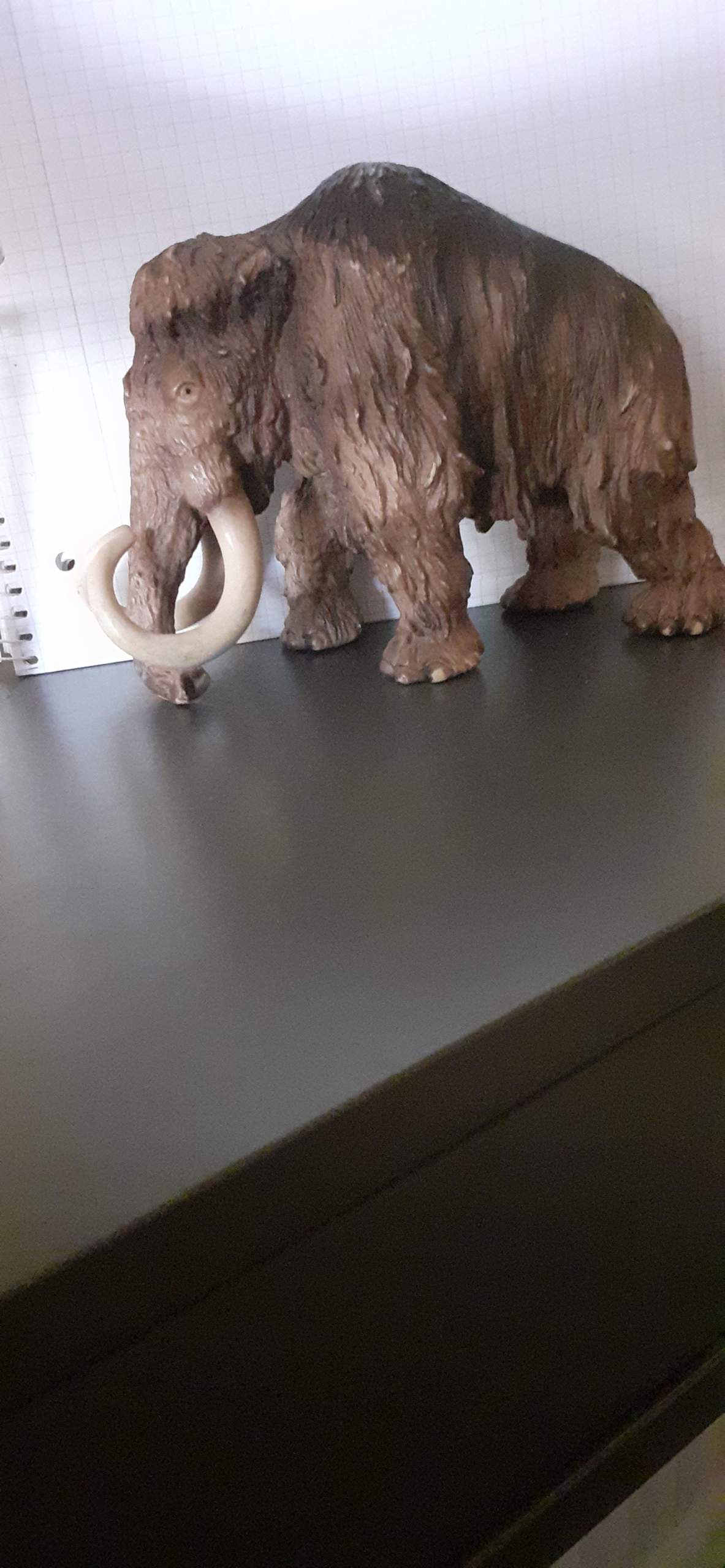 Wie viel Wert hat das Mammut (aus Schleich)? (verkaufen, Marke, Wertschätzung)