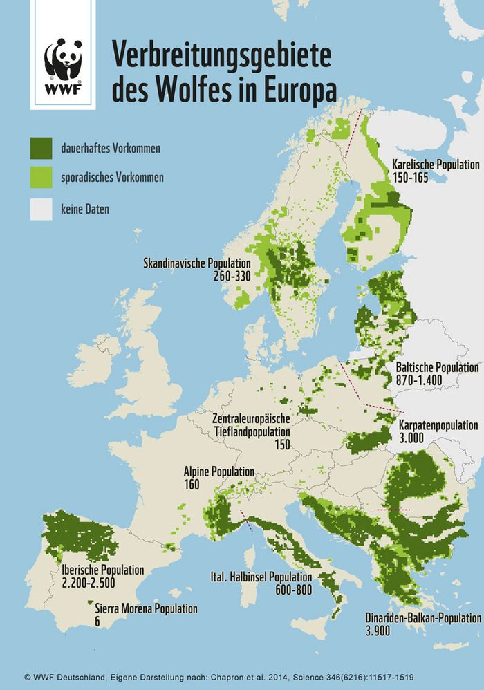 Wieviele Menschen wurden in Europa in den letzten 10 Jahren von Wölfen Wieviele Menschen wurden in Europa in den letzten 10 Jahren von Wölfen