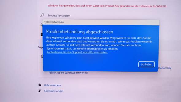 Bild zum Beitrag