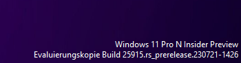 Windows 11 Insider "Logo" links im Ecke deaktivieren?