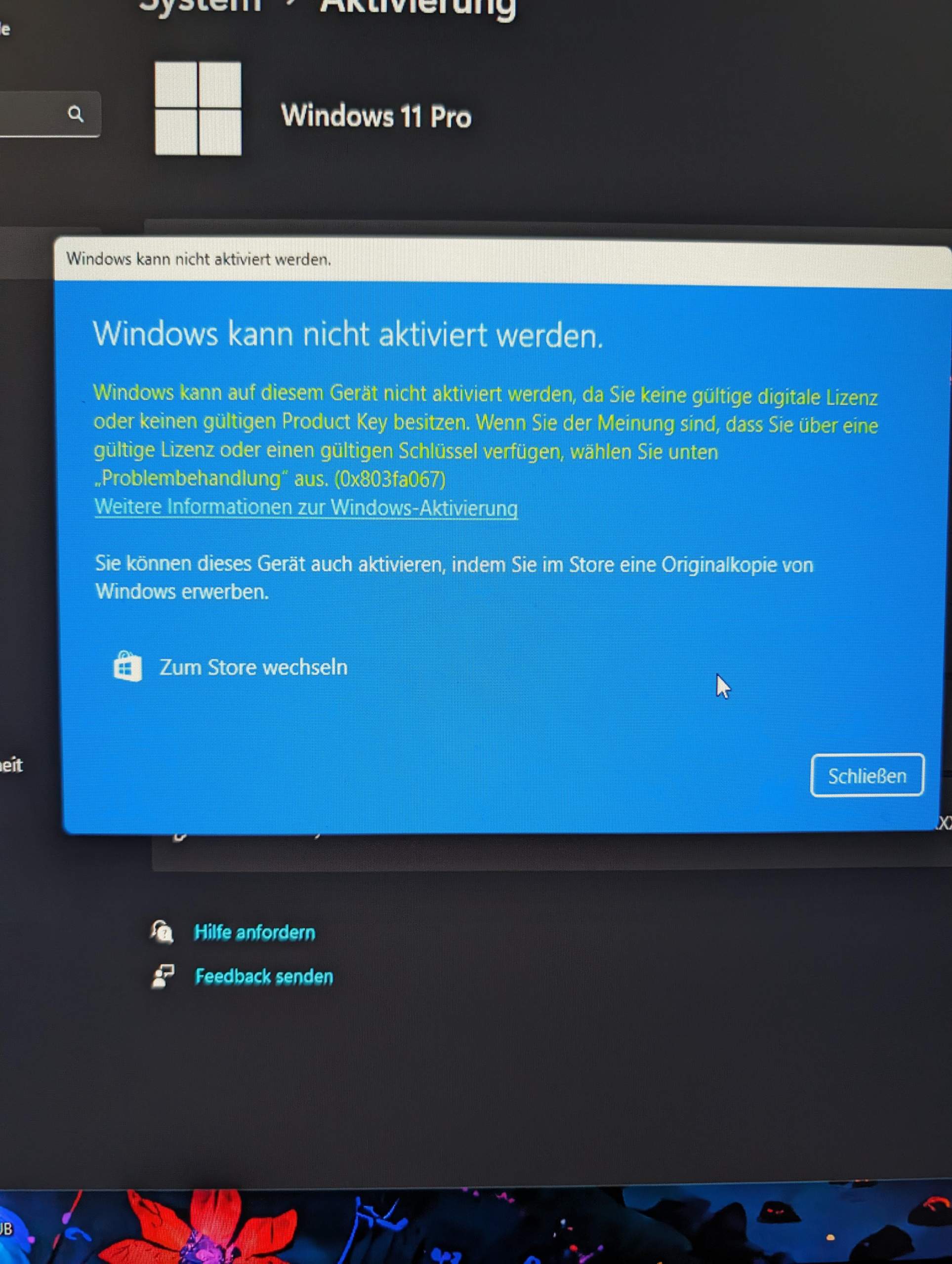 Windows 11 Pro digital Key würde deaktiviert? (Microsoft, IT, ProductKey)