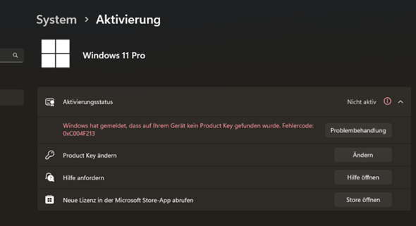 Bild zum Beitrag