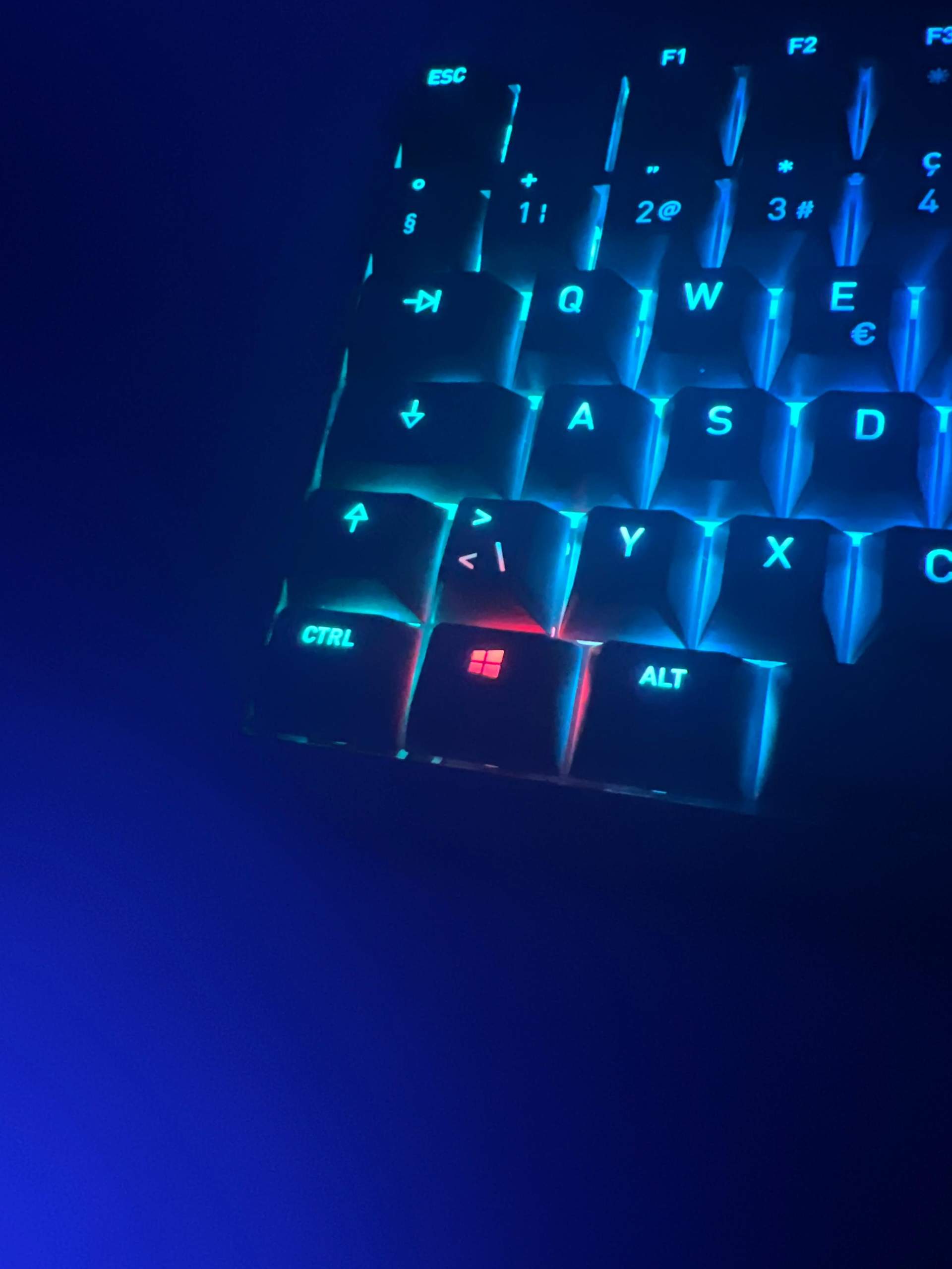 Windows Taste funktioniert nicht? (Windows 11, Gaming Tastatur, WINDOWSTaste)