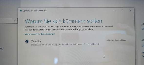 Windows11 Probleme?