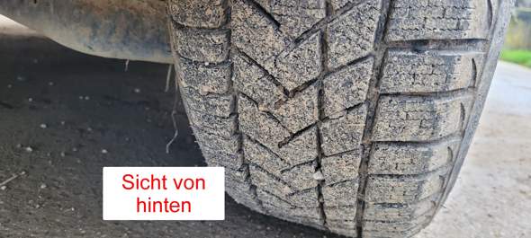 Bild zum Beitrag