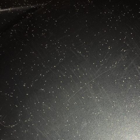 Winzige Weisse Tierchen Am Mulleimer Was Kann Es Sein Weiss