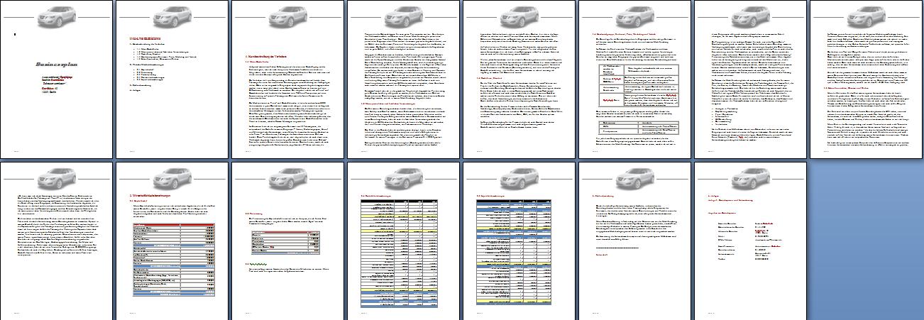 Business Plan Friseur Mustering