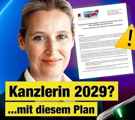 Bild zum Beitrag