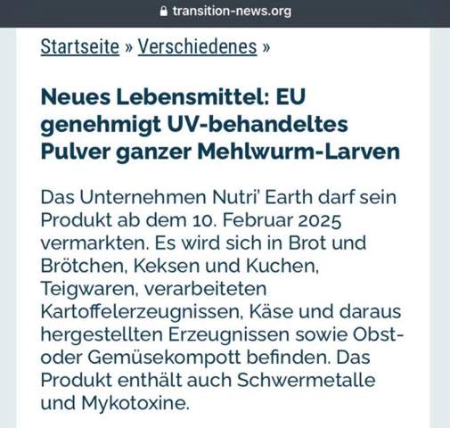Bild zum Beitrag