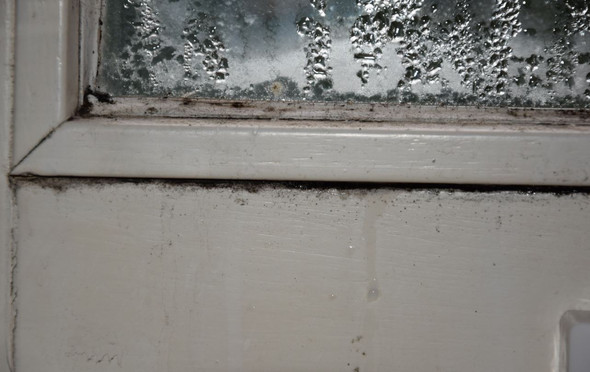 Wasser kommt durch das Fenster - (Vermieter, Mietminderung)