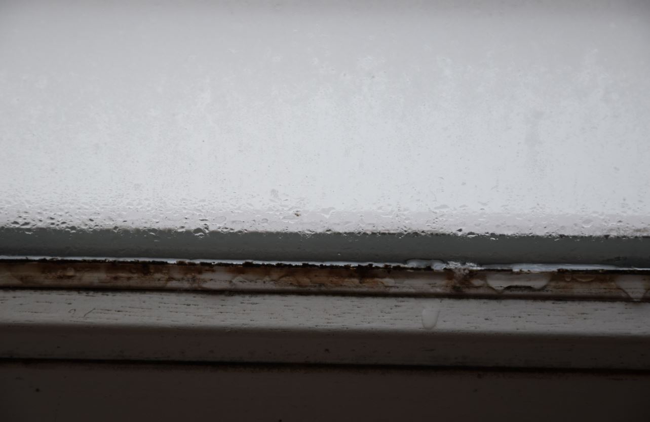 wir haben starke Feuchtigkeit an den Fensterscheiben Der Vermieter will diese auf unsere Kosten