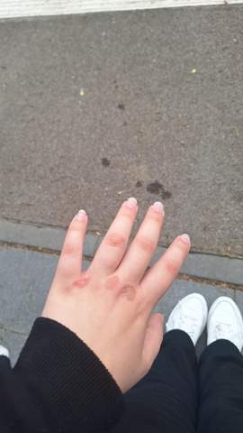 Bild zum Beitrag